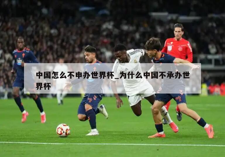 中国怎么不申办世界杯_为什么中国不承办世界杯