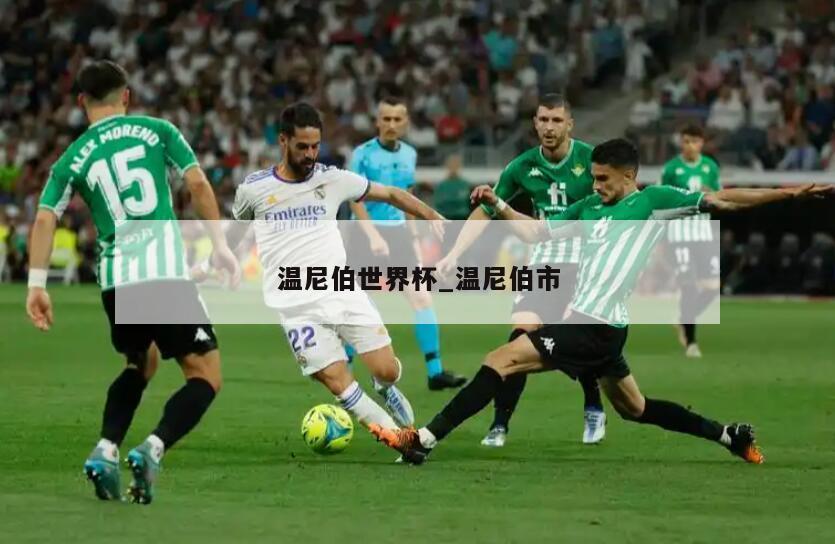 温尼伯世界杯_温尼伯市