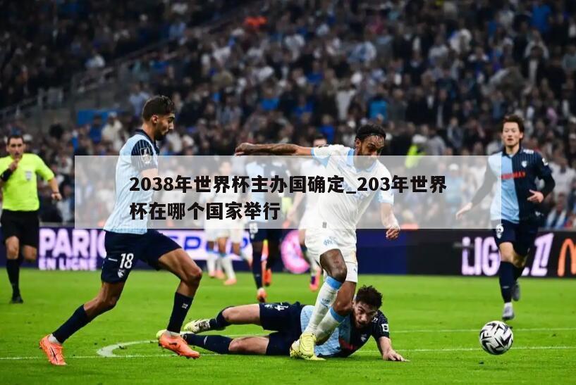2038年世界杯主办国确定_203年世界杯在哪个国家举行