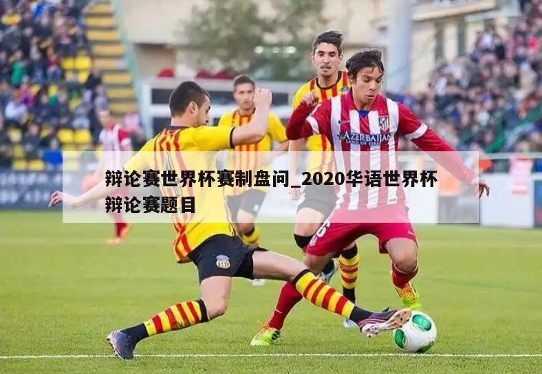 辩论赛世界杯赛制盘问_2020华语世界杯辩论赛题目