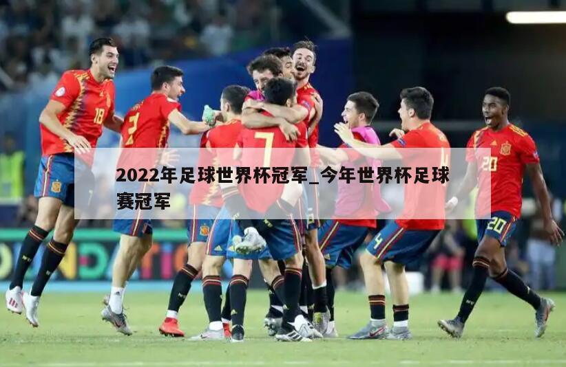 2022年足球世界杯冠军_今年世界杯足球赛冠军