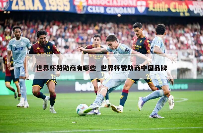 世界杯赞助商有哪些_世界杯赞助商中国品牌