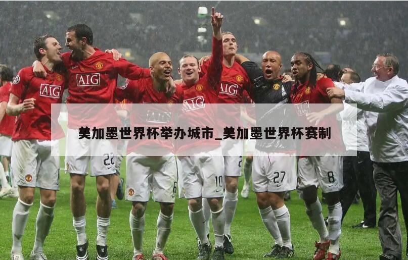 美加墨世界杯举办城市_美加墨世界杯赛制