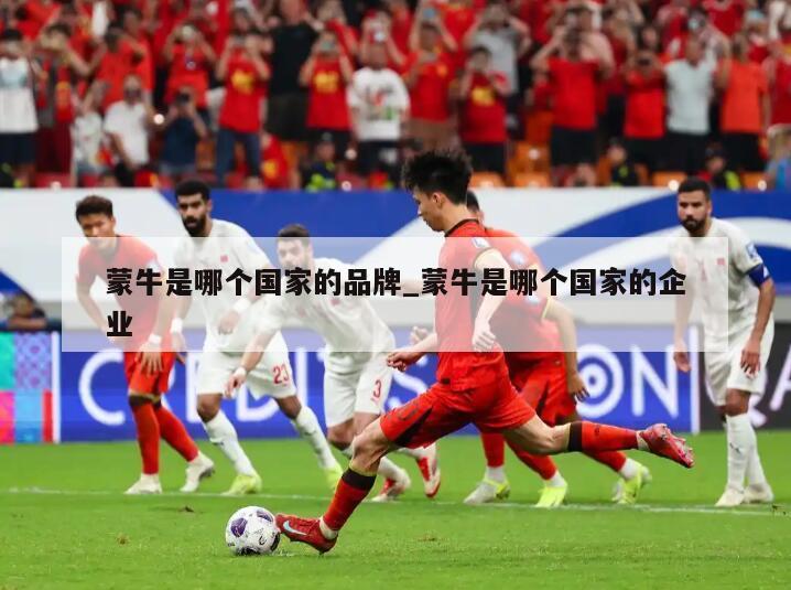蒙牛是哪个国家的品牌_蒙牛是哪个国家的企业