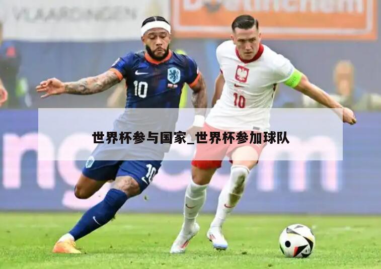 世界杯参与国家_世界杯参加球队