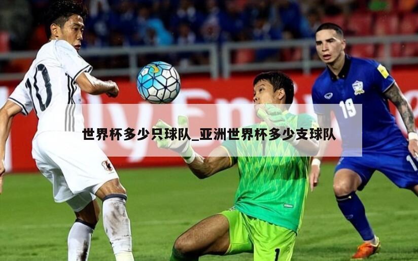 世界杯多少只球队_亚洲世界杯多少支球队