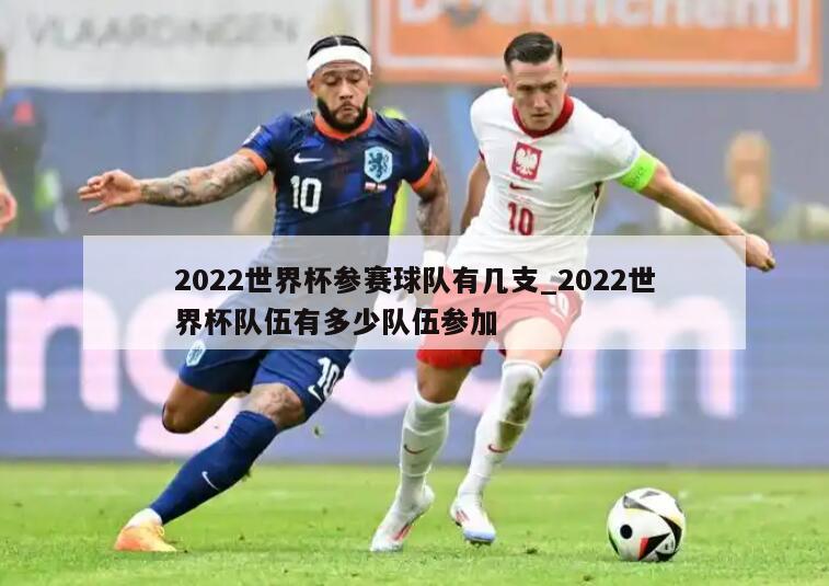 2022世界杯参赛球队有几支_2022世界杯队伍有多少队伍参加