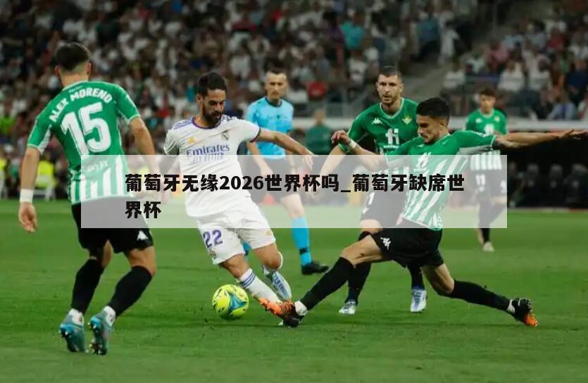葡萄牙无缘2026世界杯吗_葡萄牙缺席世界杯
