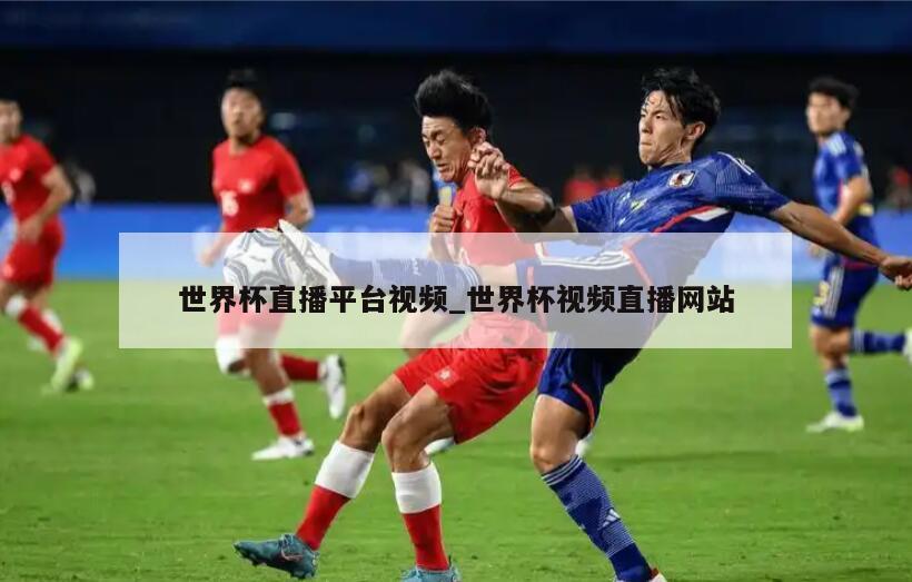 世界杯直播平台视频_世界杯视频直播网站