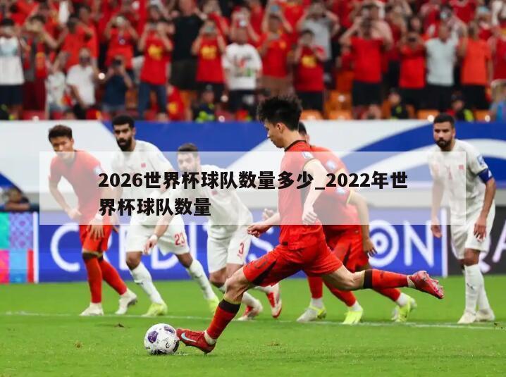 2026世界杯球队数量多少_2022年世界杯球队数量