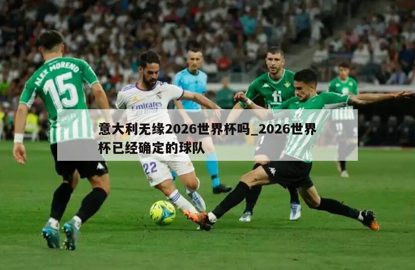 意大利无缘2026世界杯吗_2026世界杯已经确定的球队