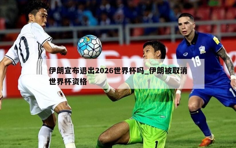 伊朗宣布退出2026世界杯吗_伊朗被取消世界杯资格